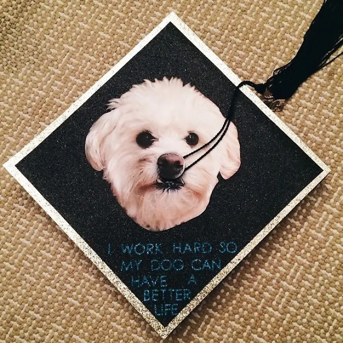 72 Funny Graduation Cap Owners Who Will Go Far In Life