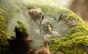 Turboo Bear Makes The Perfect Herbal Tea