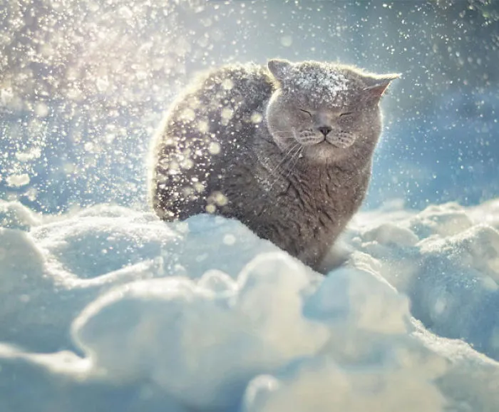 201 Smiling Animals That Will Instantly Make You Smile