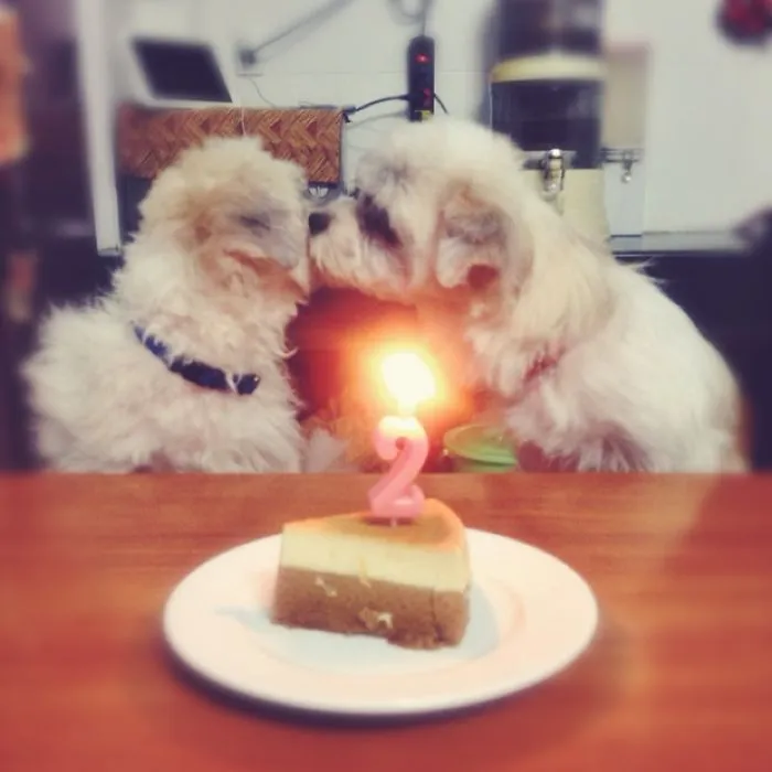 Birthday Kiss
