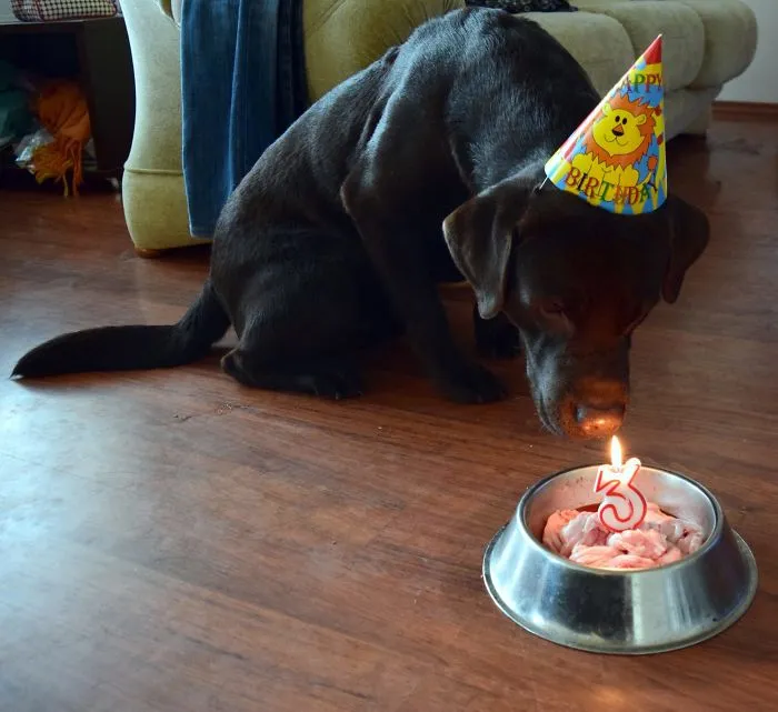 Teach Me How To Blow Candles!
