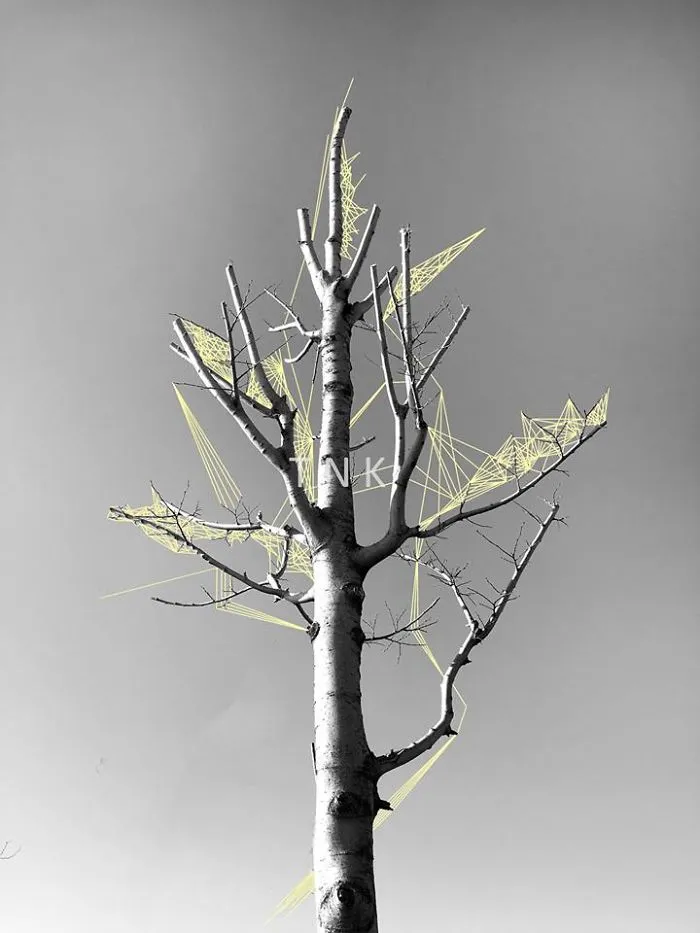 Window Series: I Create Alternative Realities