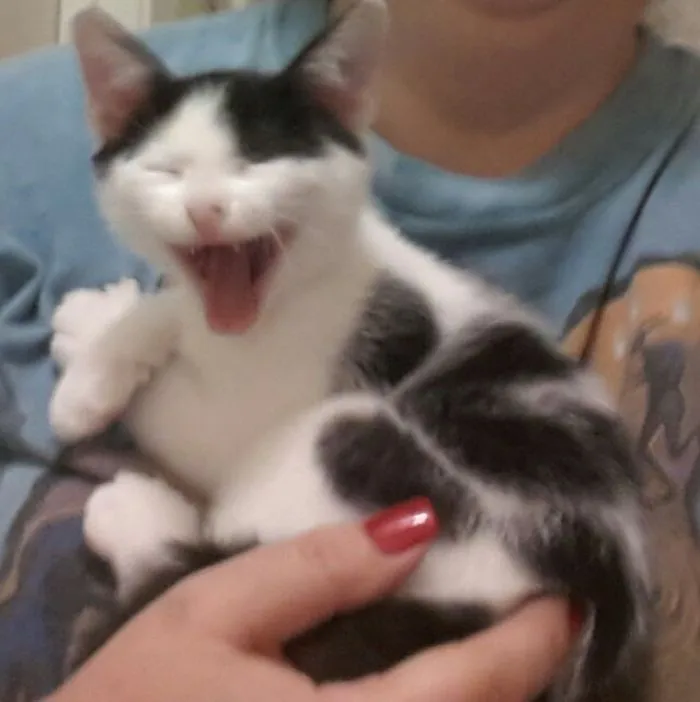201 Smiling Animals That Will Instantly Make You Smile