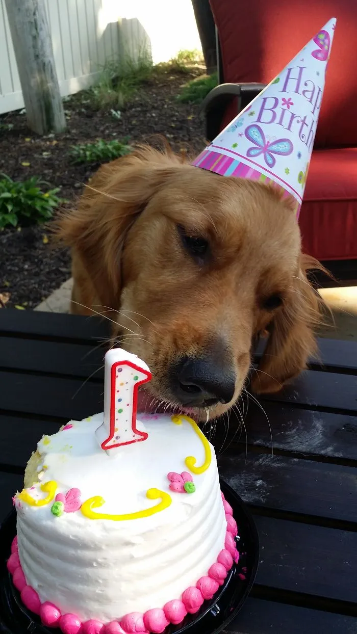 Scout's 1st Birthday