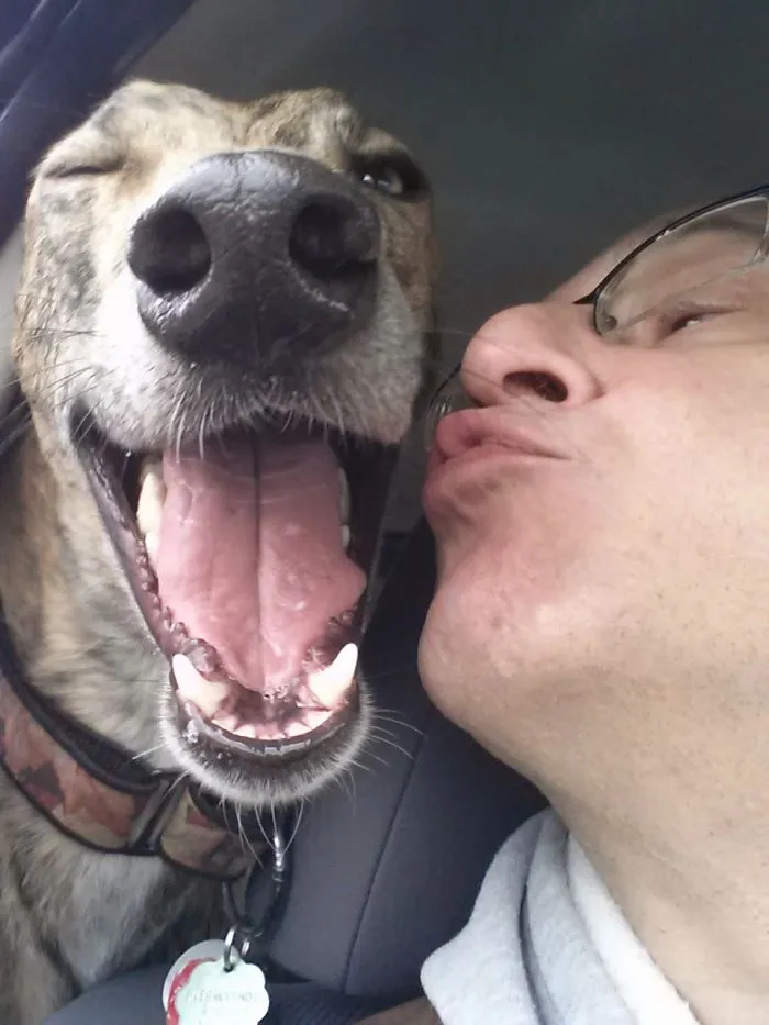 201 Smiling Animals That Will Instantly Make You Smile