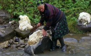 Power Of Water: The Wonderful Riverside Installations From The Carpathians
