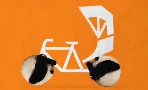 What If Pandas Were Round