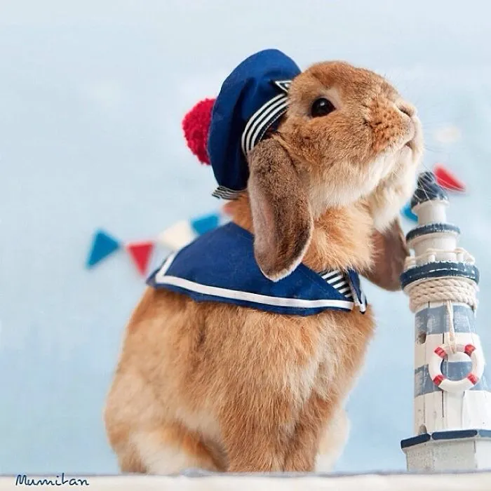 Meet PuiPui, The World's Most Stylish Bunny (34 Pics)