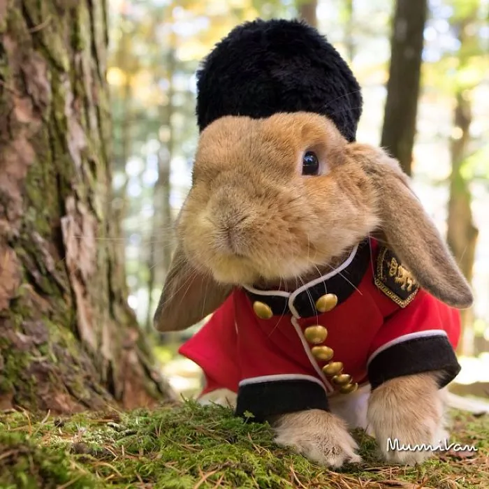 Meet PuiPui, The World's Most Stylish Bunny (34 Pics)