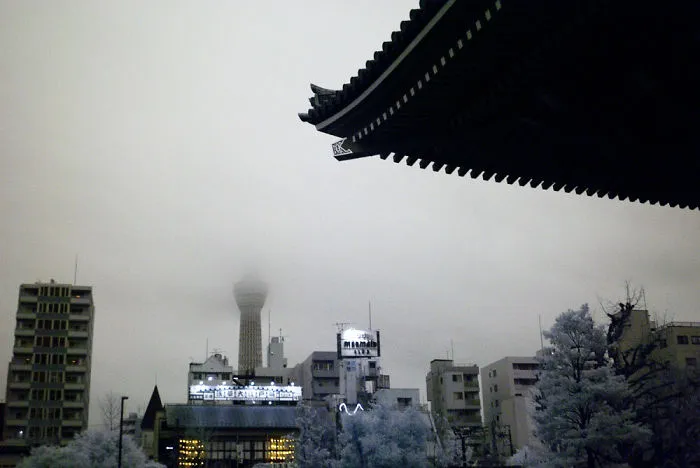 I Photographed Tokyo In Infrared