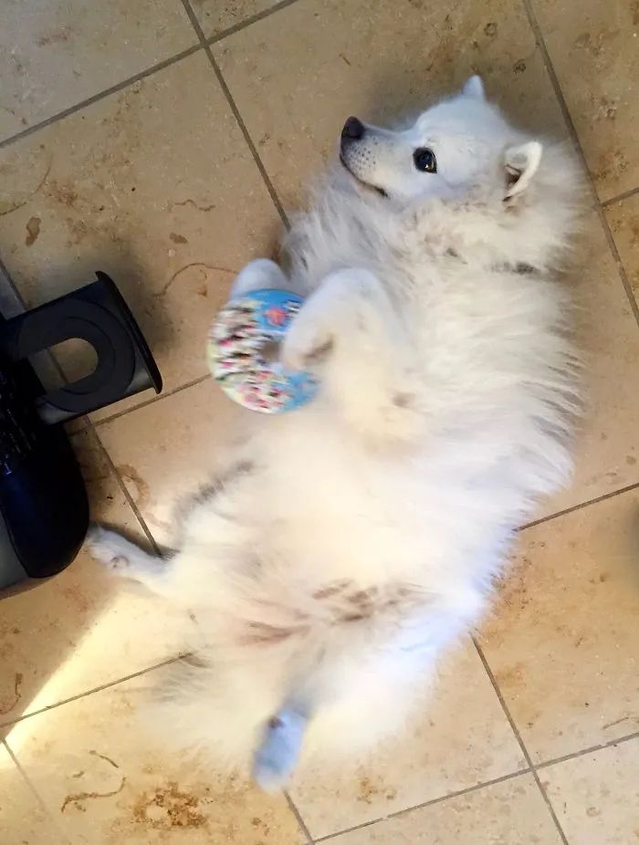 201 Smiling Animals That Will Instantly Make You Smile