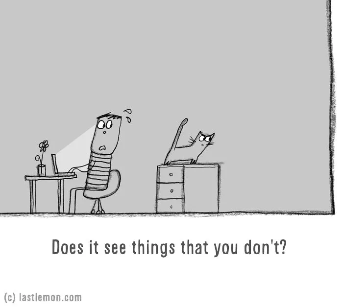 Is Your Cat An Alien?