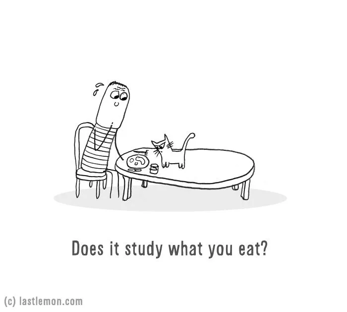 Is Your Cat An Alien?