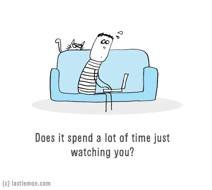 Is Your Cat An Alien?