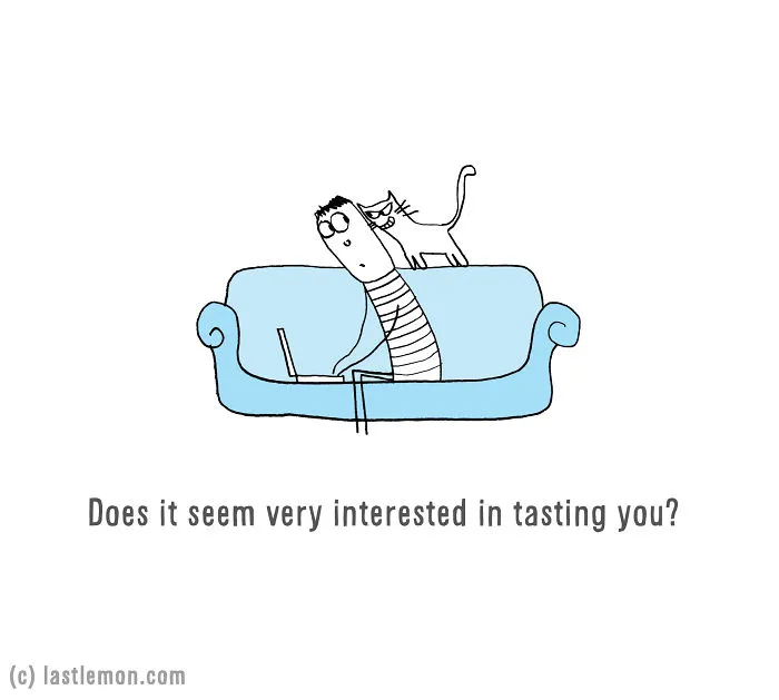 Is Your Cat An Alien?