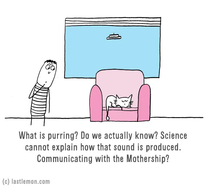 Is Your Cat An Alien?