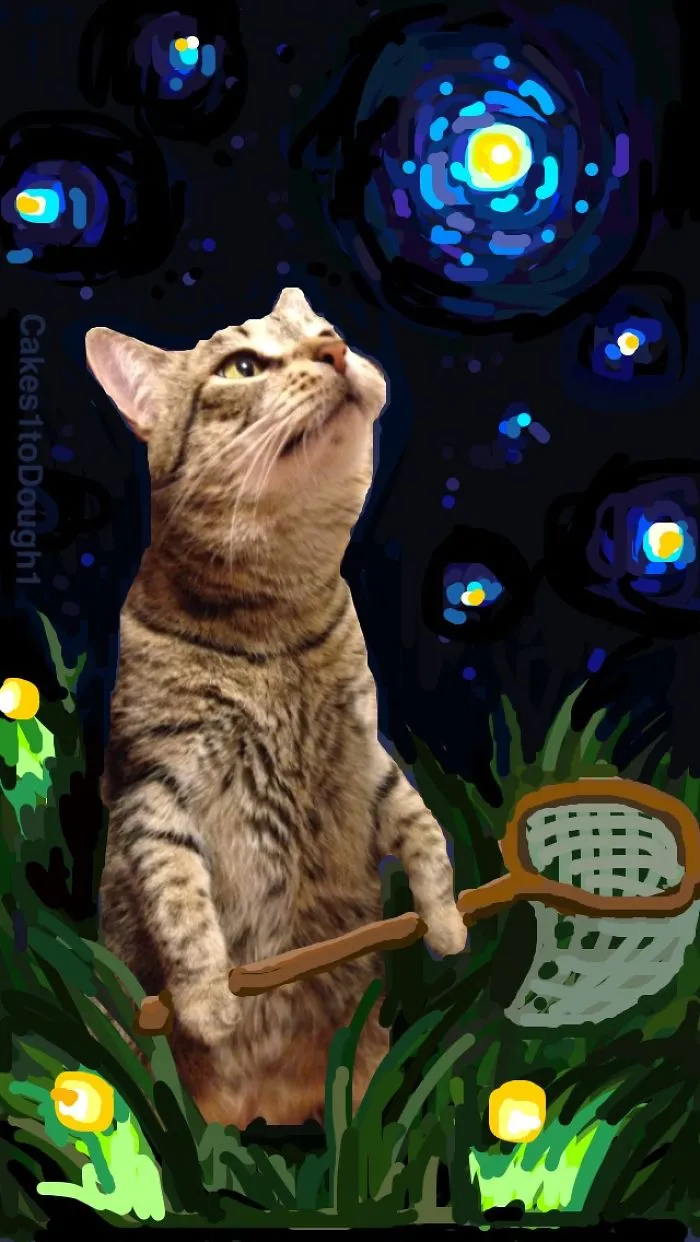 Snapcats: I Draw My Cats Into Comical Situations Using Snapchat
