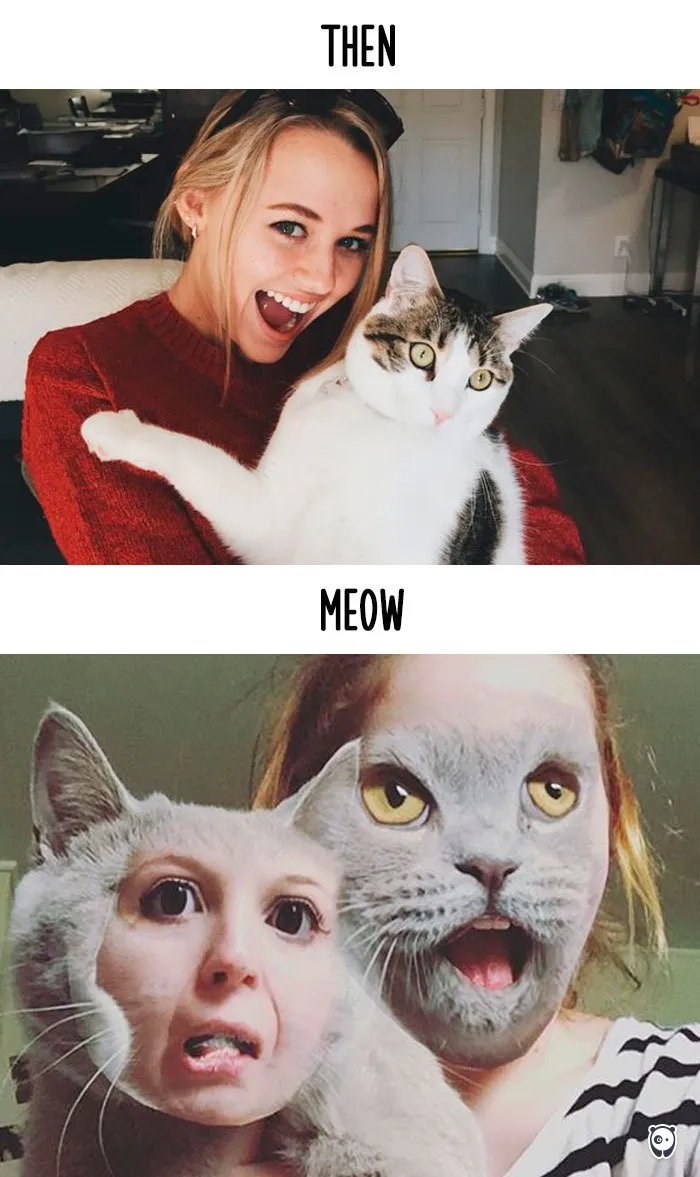 Taking Photos With My Hooman
