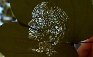 I Create Detailed Portraits On Leaves By Making Tiny Holes