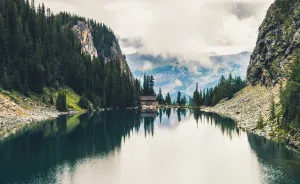 I'm Exploring My New Home, Canada, Through Photography