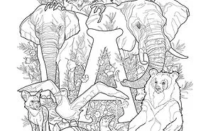 I Will Draw 124 Endangered Animals For My Coloring Book: E Is For Endangered.