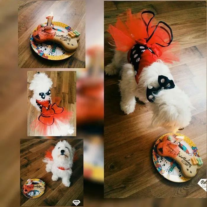 Princess Lussy