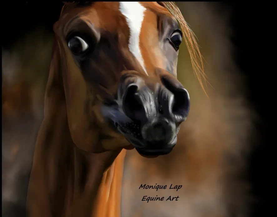 Amazing Animal Portraits