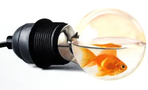 I Combine Hyperrealism With Humour In My Oil Paintings