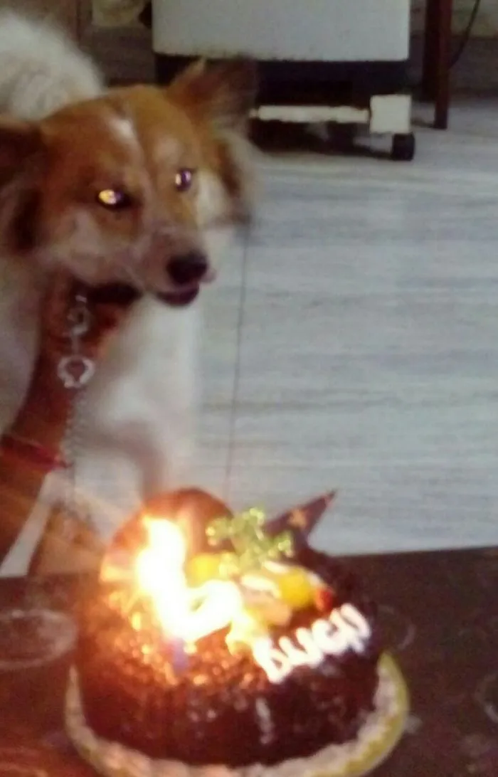 Dugu's 3rd Birthday