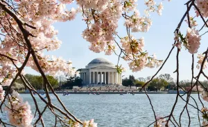 1 Scene, 4 Seasons: I Photographed The Same Washington, D.C. Scene Through Four Seasons