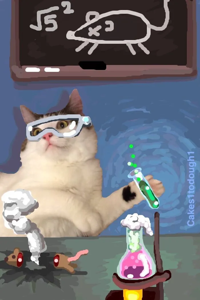 Snapcats: I Draw My Cats Into Comical Situations Using Snapchat