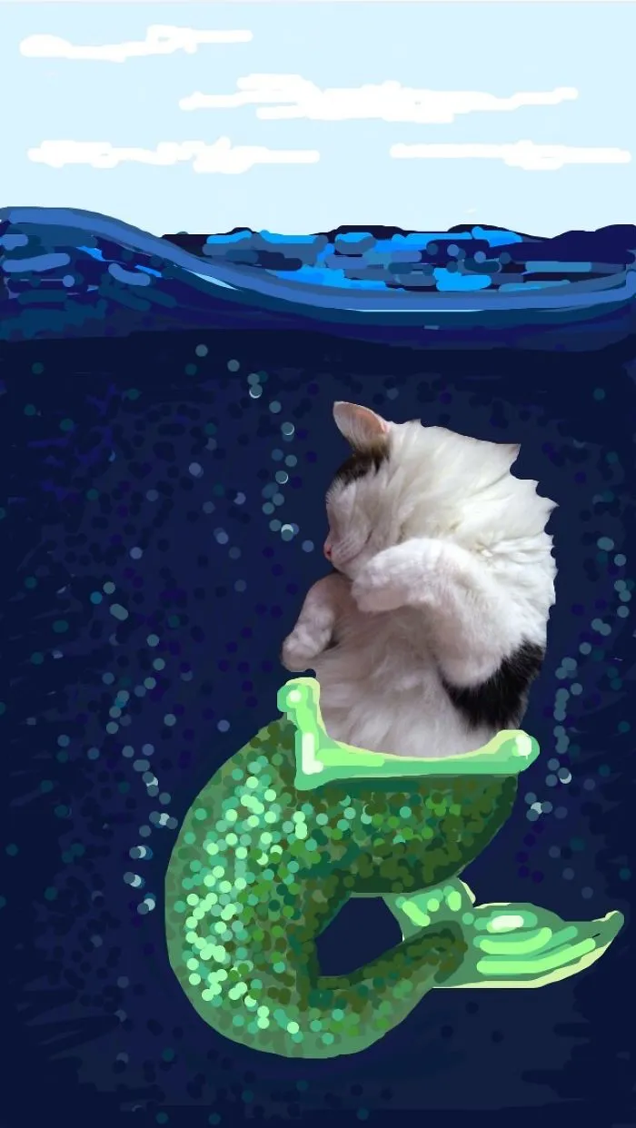 Snapcats: I Draw My Cats Into Comical Situations Using Snapchat