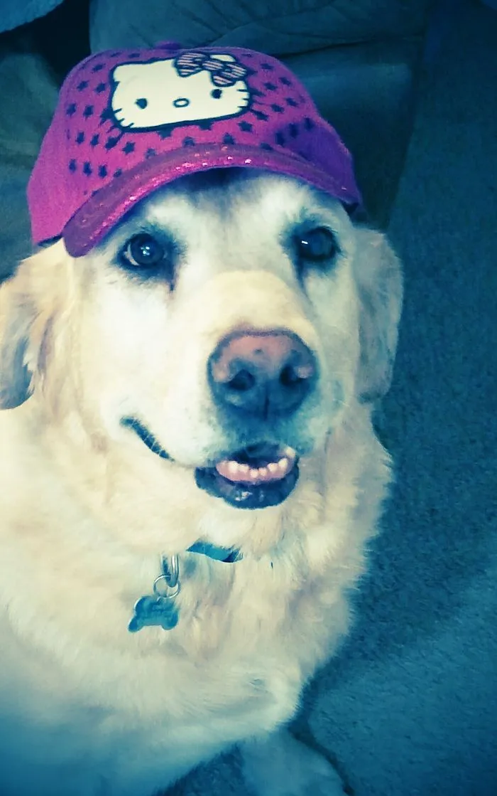 201 Smiling Animals That Will Instantly Make You Smile