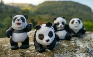 I Photographed The Adventures Of 4 Toy Pandas