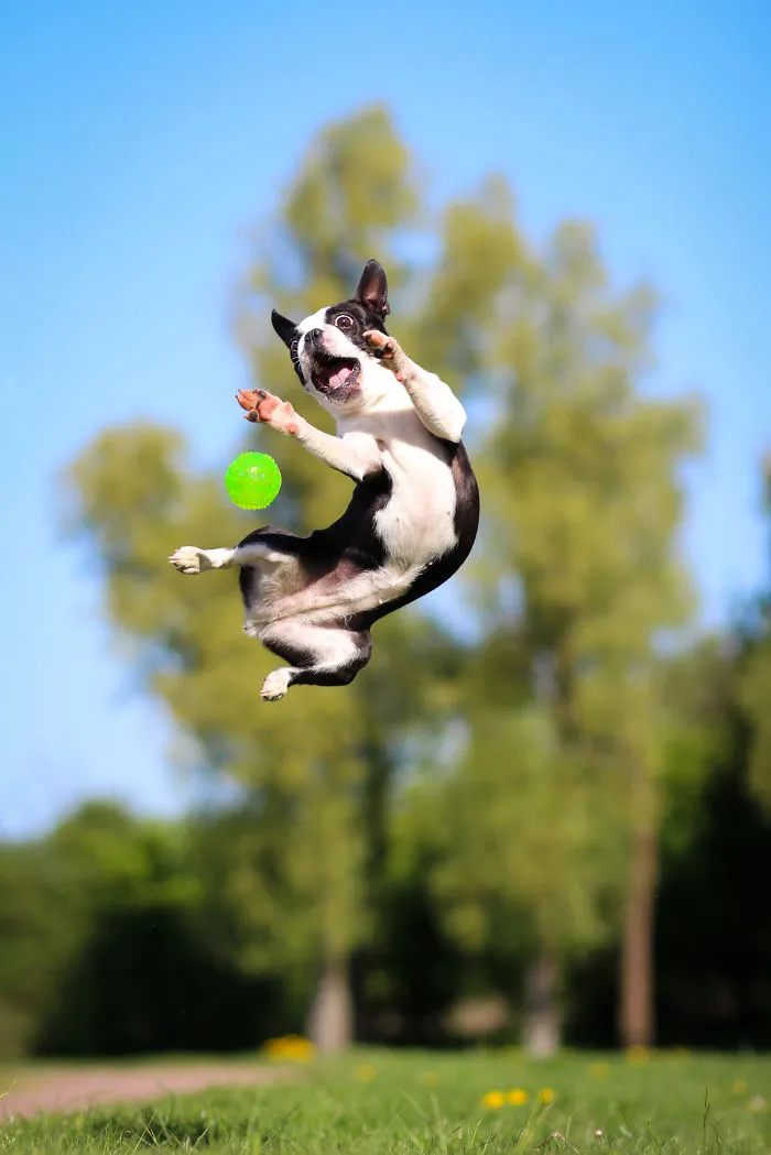 Flying :d
