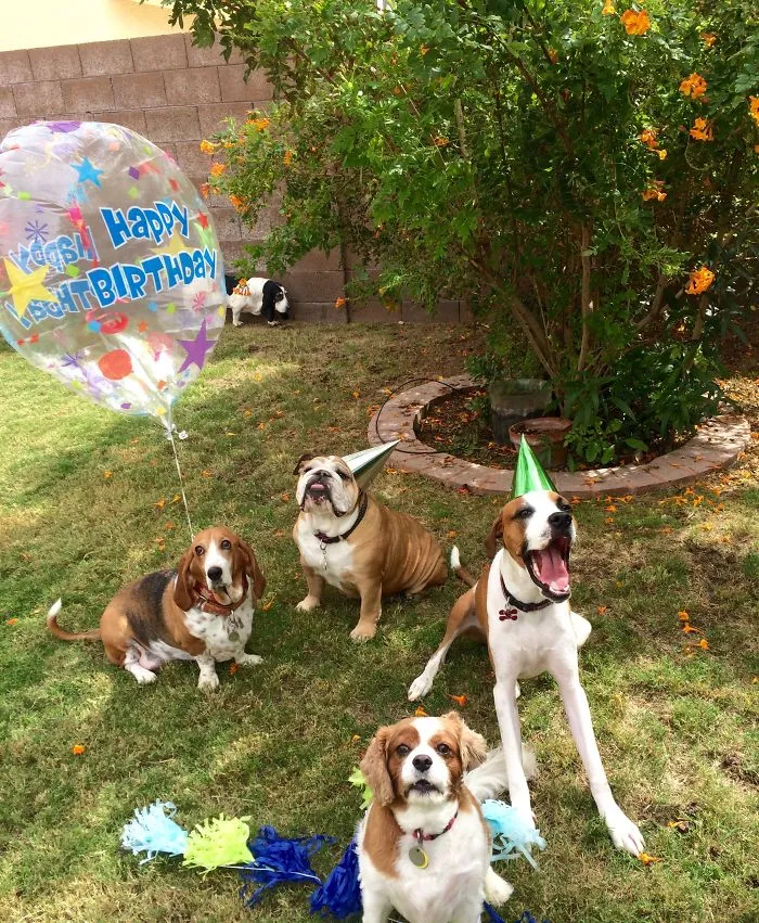 Best Birthday Party Ever With A Few Of My Close Friends!!!  @calaiscampbellthepuppy
