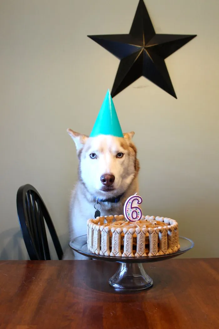Dakota On His 6th Birthday!