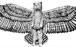 I'm Working On A Graphic Novel Called "flying Mau Cat"