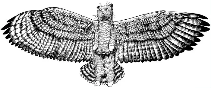 I'm Working On A Graphic Novel Called "flying Mau Cat"