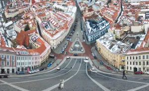 The Kitten Of Vilnius