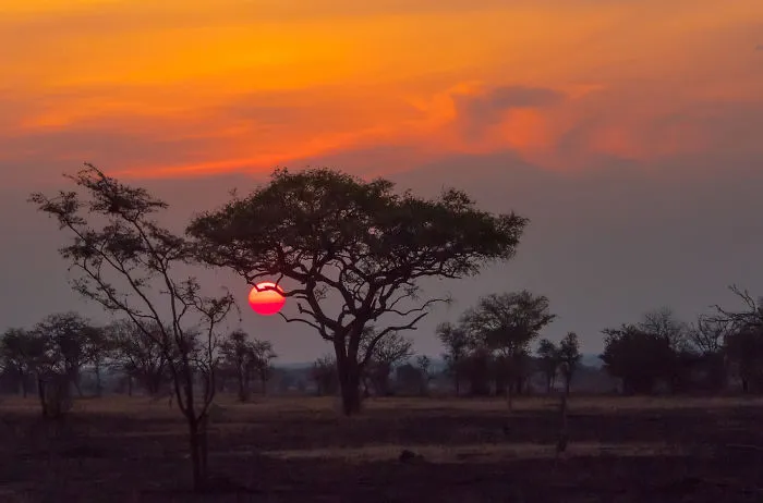 Magic Of The Evening Sun