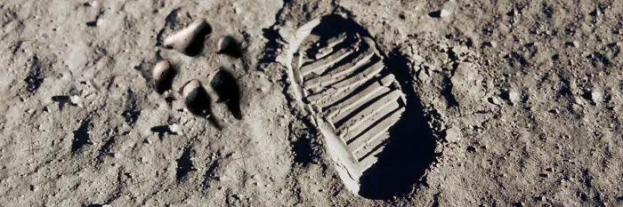 Nasa Announces Plans To Send Wolves To The Moon