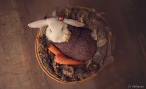 Newborn Session... With A Bunny!