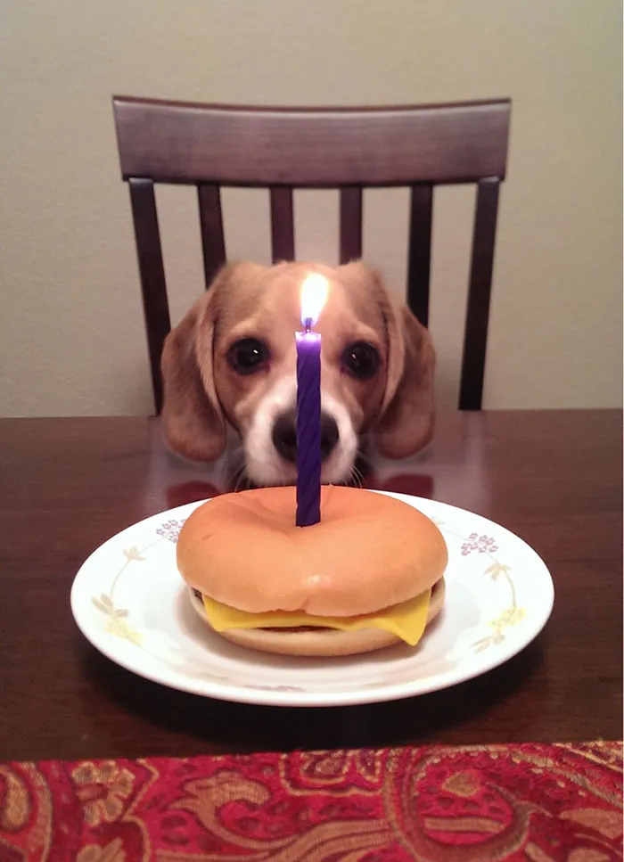 My Friend Said He Was Busy Having A Little Celebration