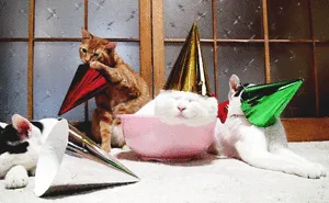 112 Pets Having Better Birthday Parties Than You