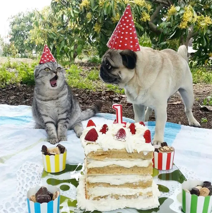 Luigis 1st Birthday