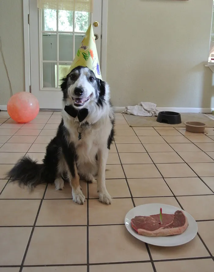 10 Years Old Today