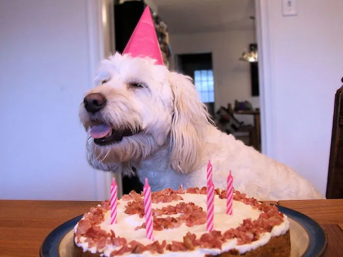 That Cake Actually Looks Pretty Good