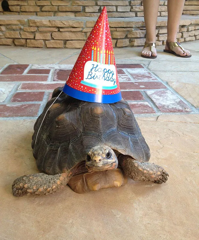 Met This Guy At A Party Yesterday