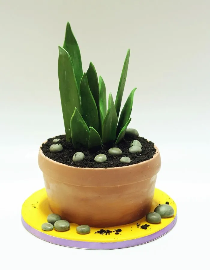 My Friend Loves Plants, So I Made Her This Fully Edible Plant Cake